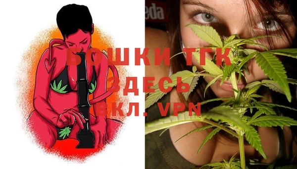 молекула духа Гусиноозёрск