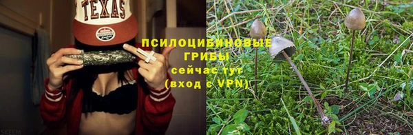 тгк Краснотурьинск