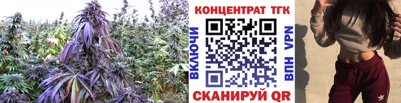 сайты даркнета телеграм  Пересвет  Дистиллят ТГК вейп с тгк  закладка 